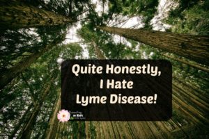 I Hate Lyme Disease