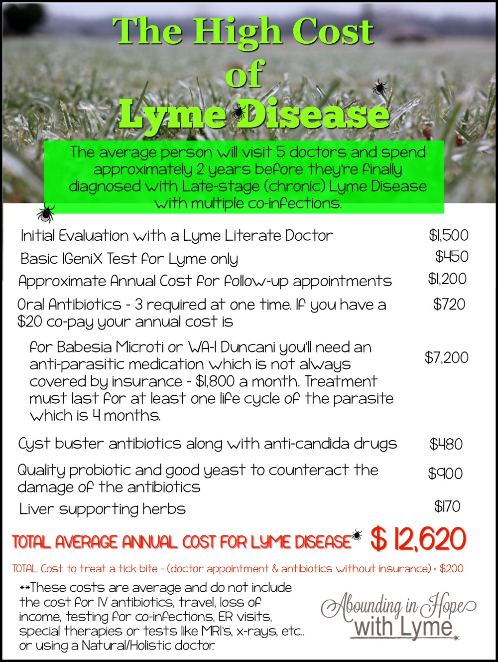 The High Cost of Lyme