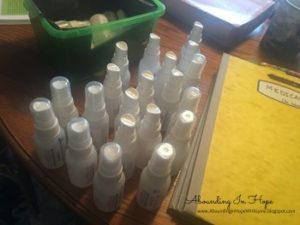 Homeopathic Remedies for Lyme Disease