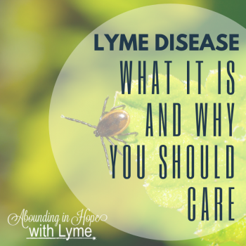 What is Lyme Disease