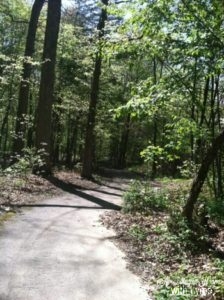 Protecting Yourself From Ticks