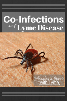 Co-infections and Lyme Disease