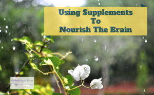 Using Supplements to Nourish the Brain