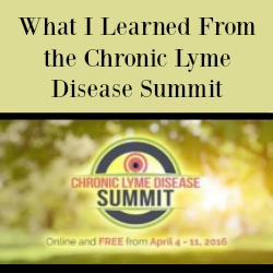 Lyme Disease Summit