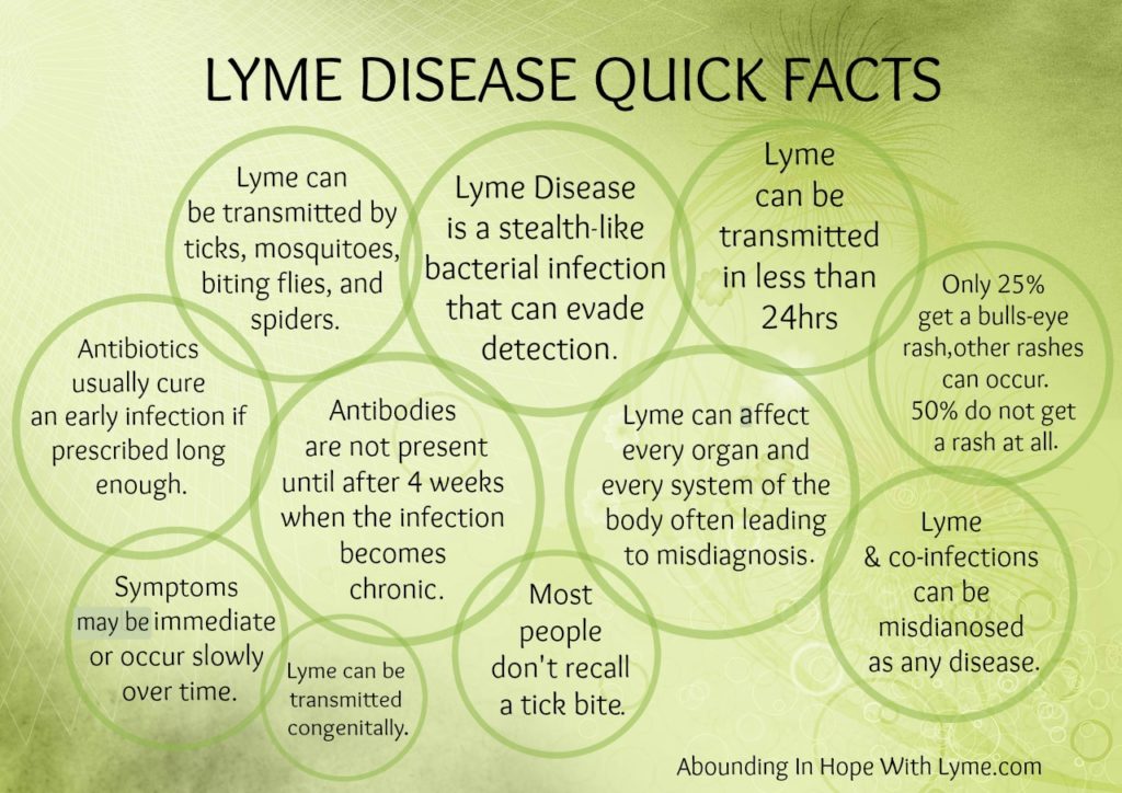Lyme Disease Quick Facts