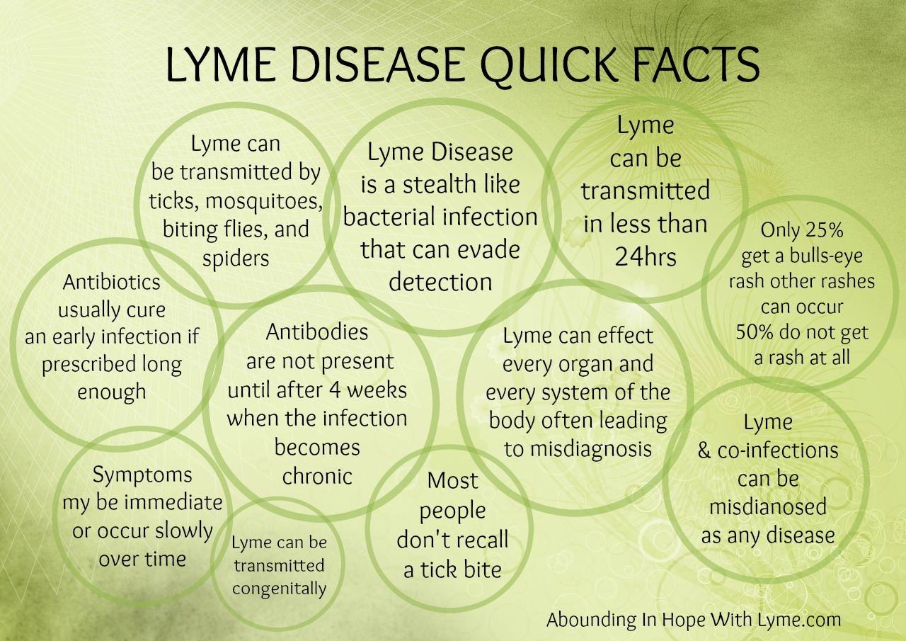 Lyme Disease Quick Facts • Abounding In Hope With Lyme