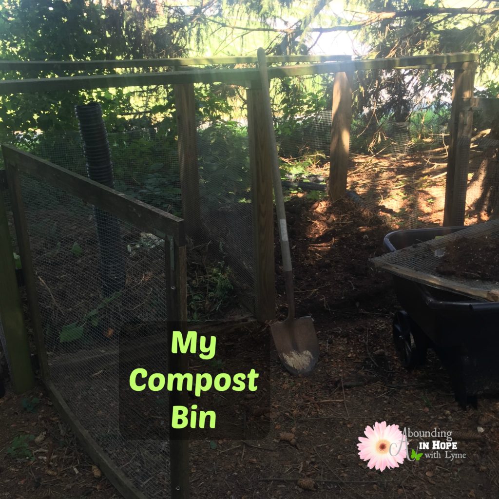 Compost bin • Abounding in Hope with Lyme