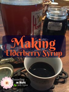 Elderberry Syrup