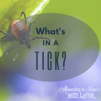 What's in a tick