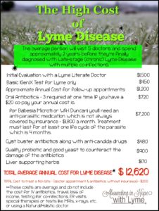 The High Cost of Lyme