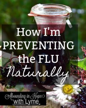 Preventing the Flu takes a little work but you can do it naturally!