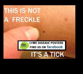 Lyme Poster Nymphal Tick