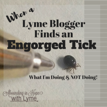 Lyme Blogger Finds Engorged Tick