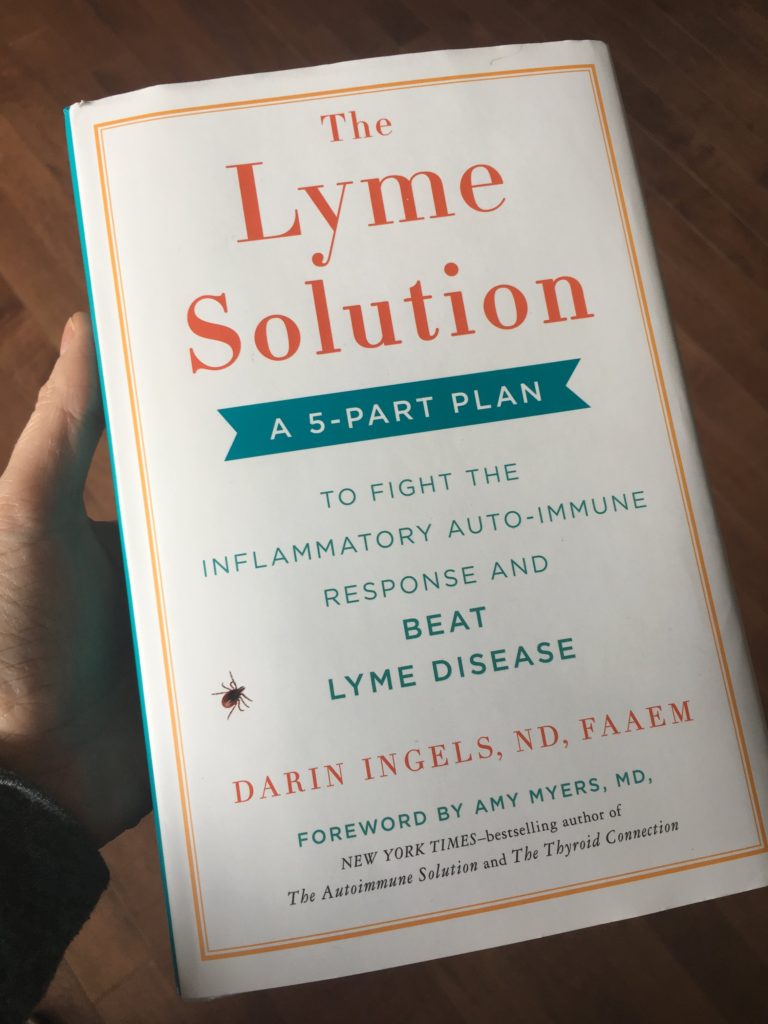 The Lyme Solution Book - My Review