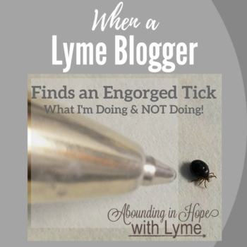 Lyme Blogger Finds Engorged Tick