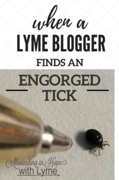 Lyme Blogger Finds Engorged Tick - Pinterest