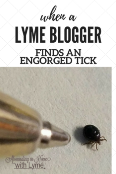 Lyme Blogger Finds Engorged Tick