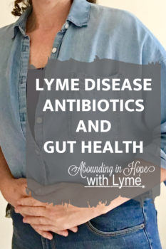 LYME DISEASE ANTIBIOTICS AND GUT HEALTH Pinterest - Personal Image