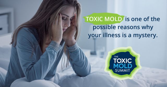 Toxic Mold Summit