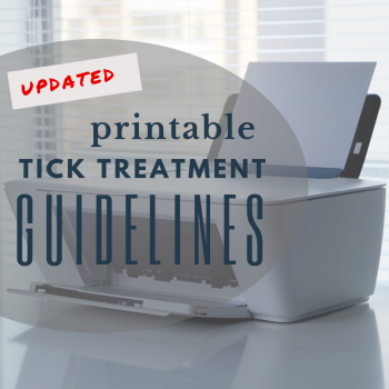 Lyme Treatment Guidelines
