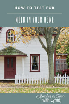 Home with Mold