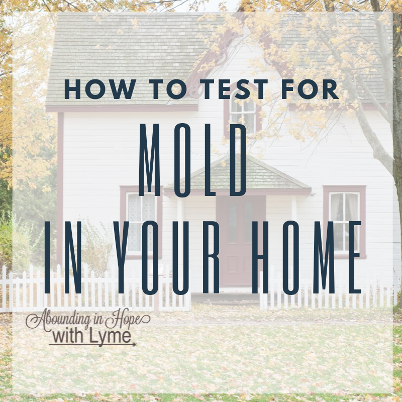 Testing Homes for Mold