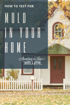 Home with Mold