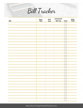 Supplements Flow Sheet